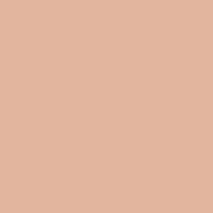  Shade 5 - Fair