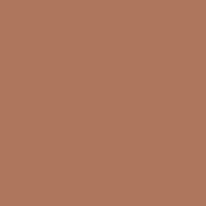  Shade 6 - Light Medium